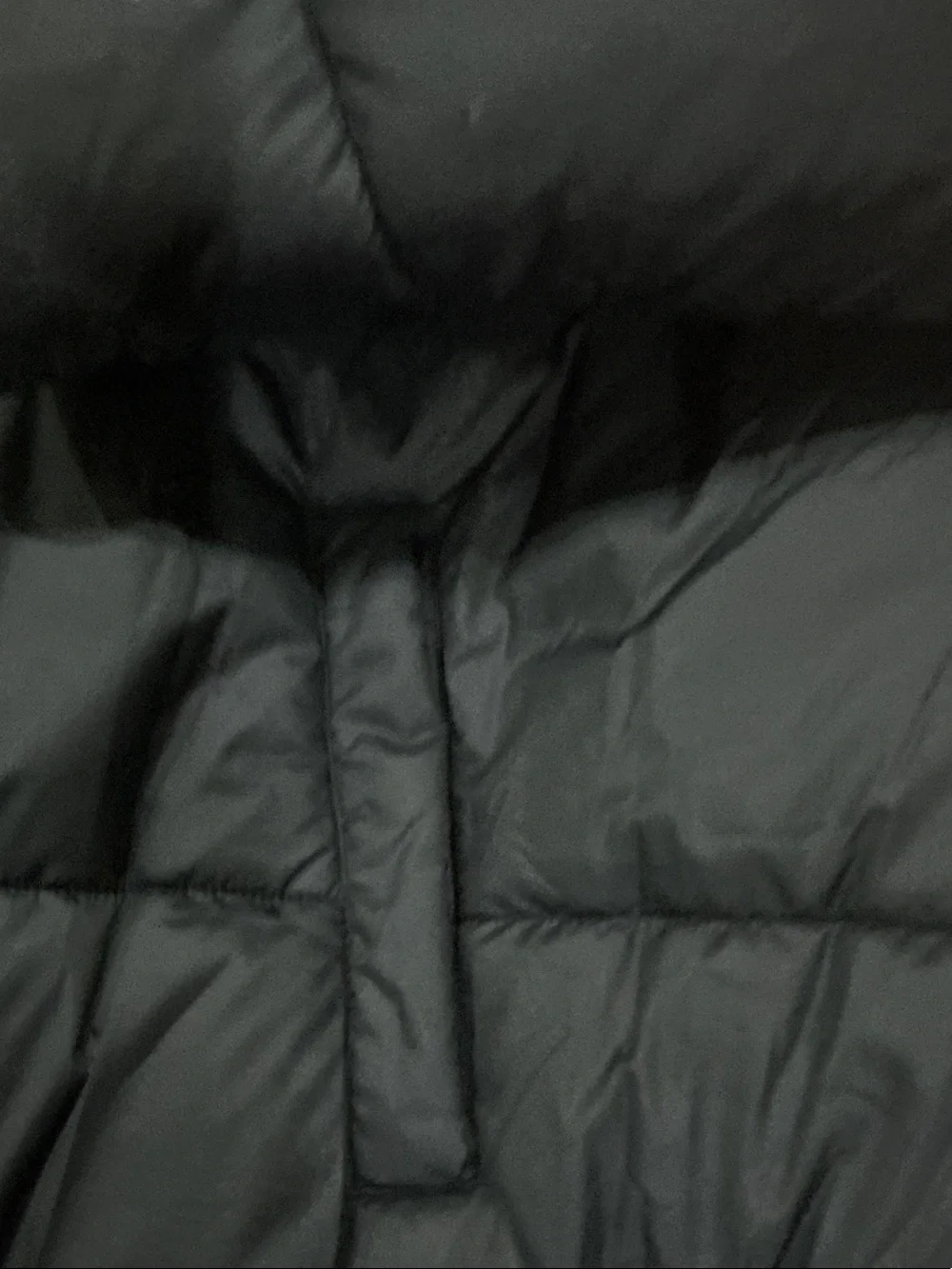 Nike Black Hooded Quilted Puffer Coat FZ5901-010